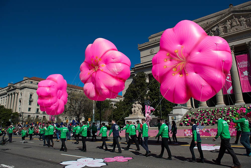 National Cherry Blossom Festival Parade, Washington DC Express Travel